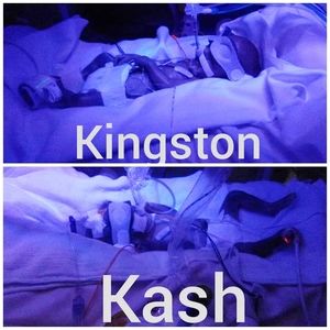 Meet your Posher, Curtis